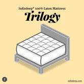 Sofzsleep 9.5" 100% Latex Trilogy Adult Mattress